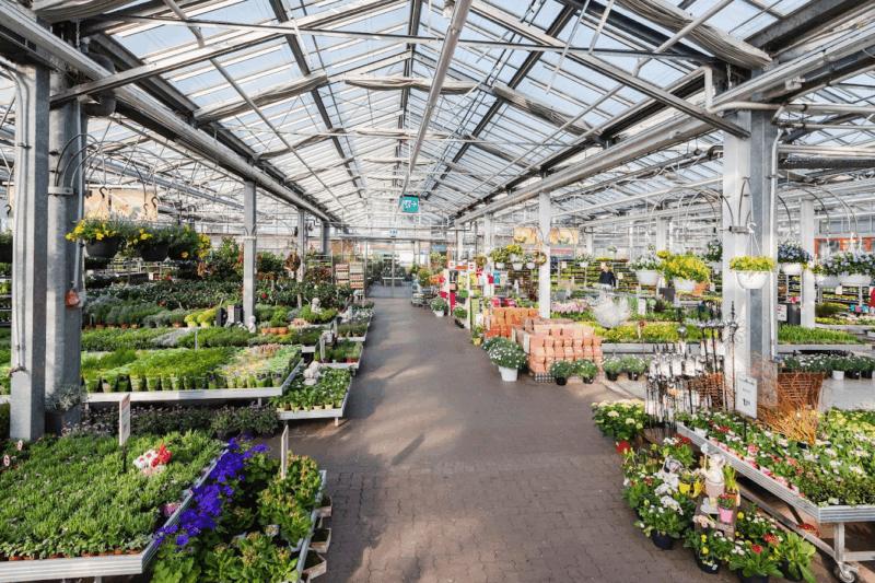 Wie ein Gartencenter Ihnen hilft, den perfekten Garten zu gestalten